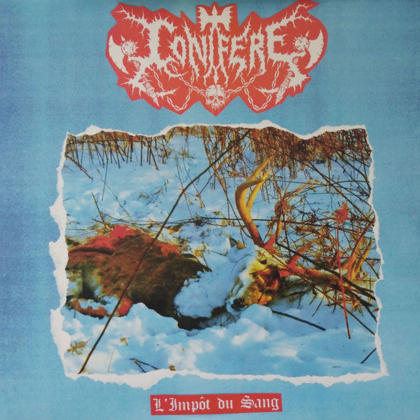CONIFÈRE - L'import du Sang (Brown)