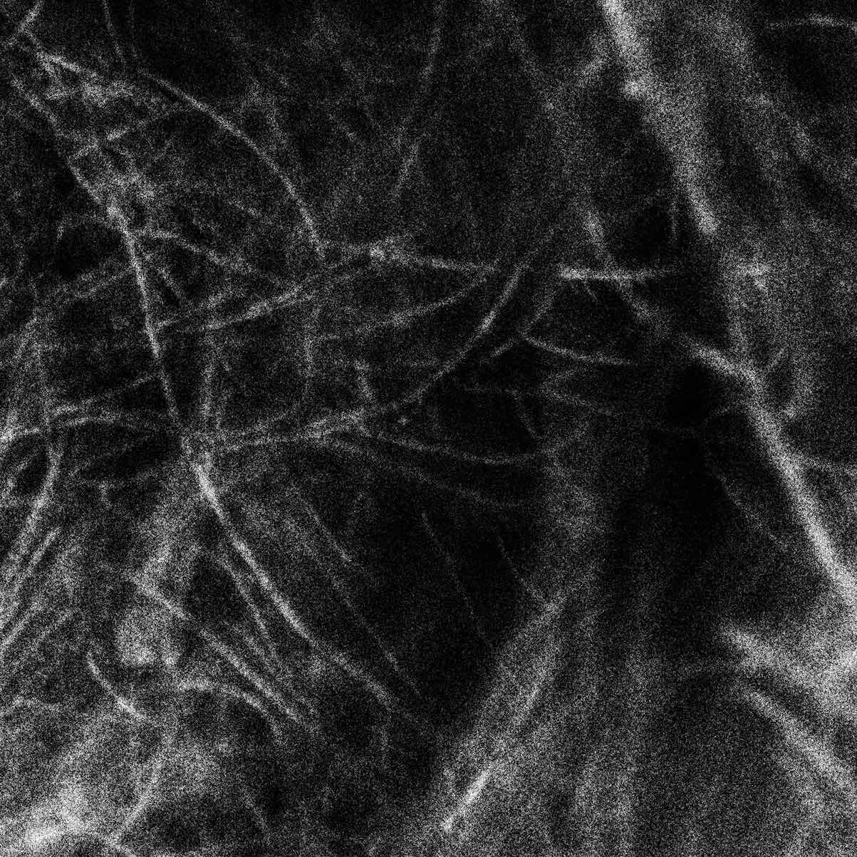 Hadopelagyal - Haematophoryktos, CS