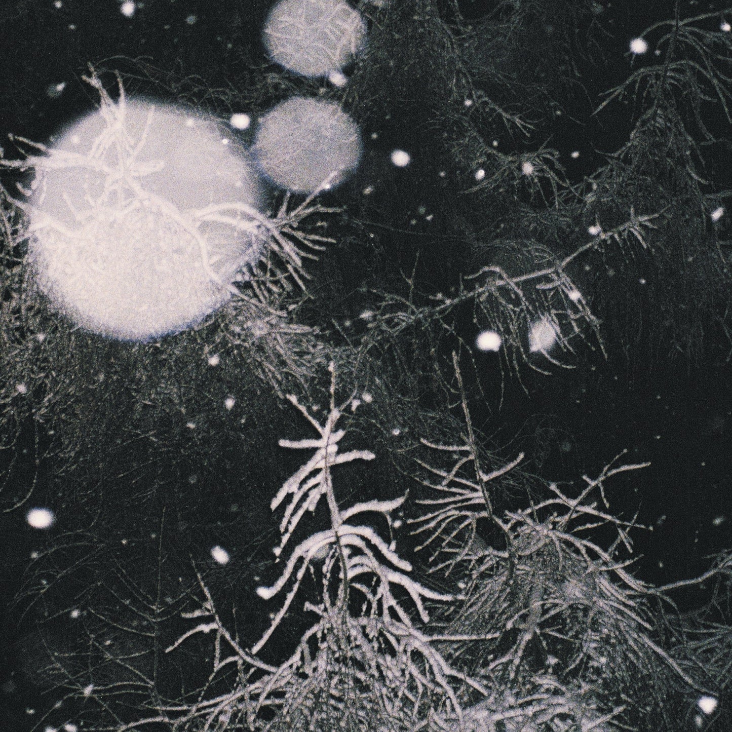 OVER THE VOIDS... – Over The Voids, DigiCD