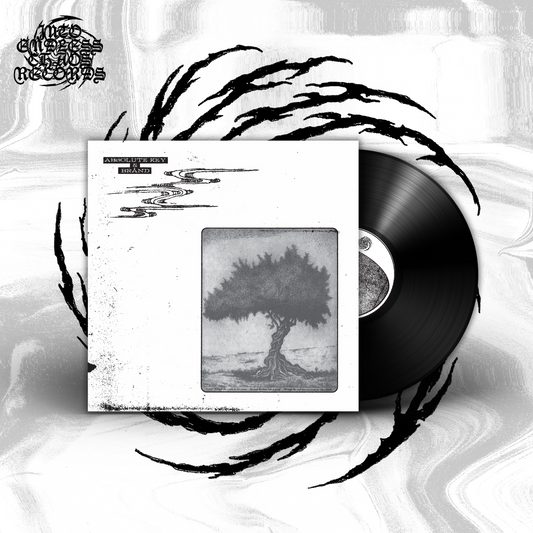 Absolute Key & Brånd - Absolute Key & Brånd, LP