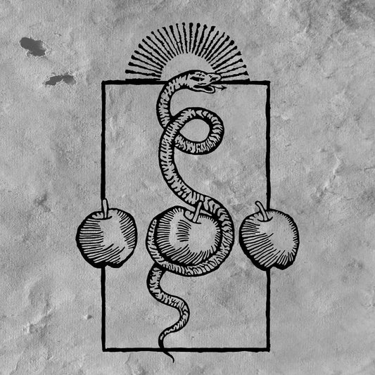 DARVAZA - We Are Him CD [Pre-Order]