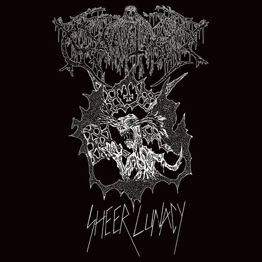 GRAVETAKER - Sheer Lunacy, LP