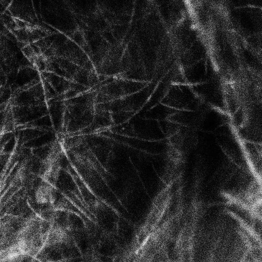 Hadopelagyal - Haematophoryktos, LP