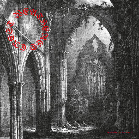 Weathered Crest - Blossoming Of The Paths, CD